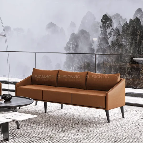 Sleek Serenity Couch Sofa DA-SOF-1108-01-02-03 set 1